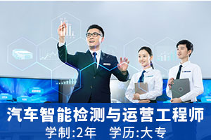 汽车智能检测与运营工程师